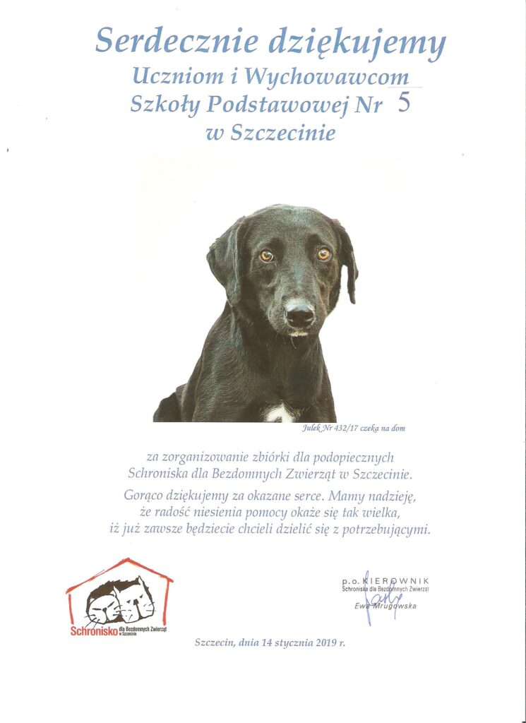 Pomagamy zwierzętom