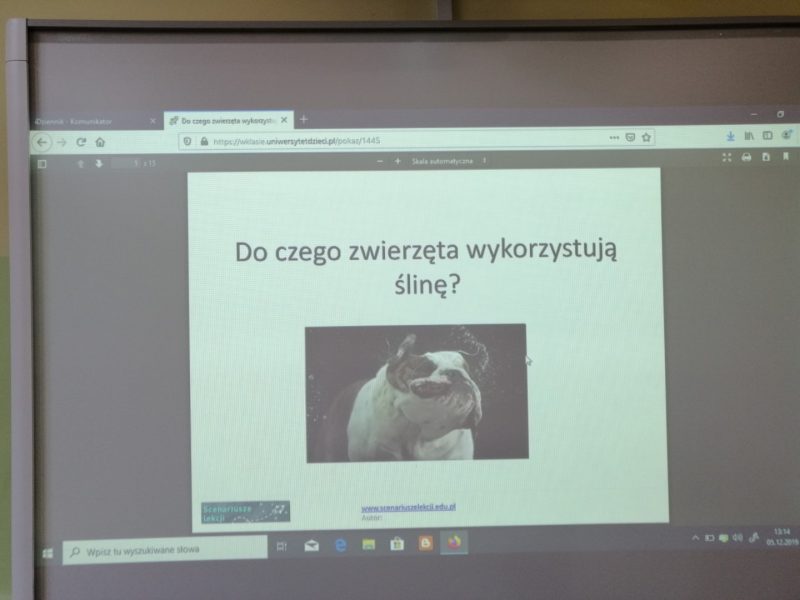 Po co zwierzętom ślina?