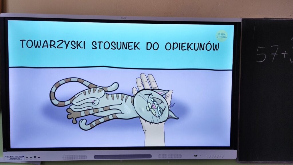 Międzynarodowy Dzień Kota w kl.3b