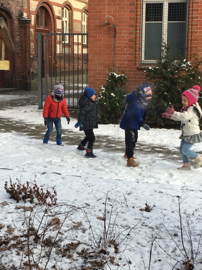 Tygrysie zabawy na śniegu
