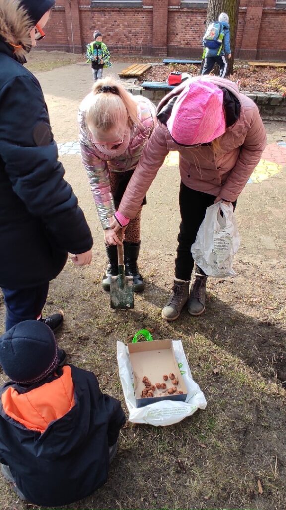 Międzynarodowy Projekt Krokus