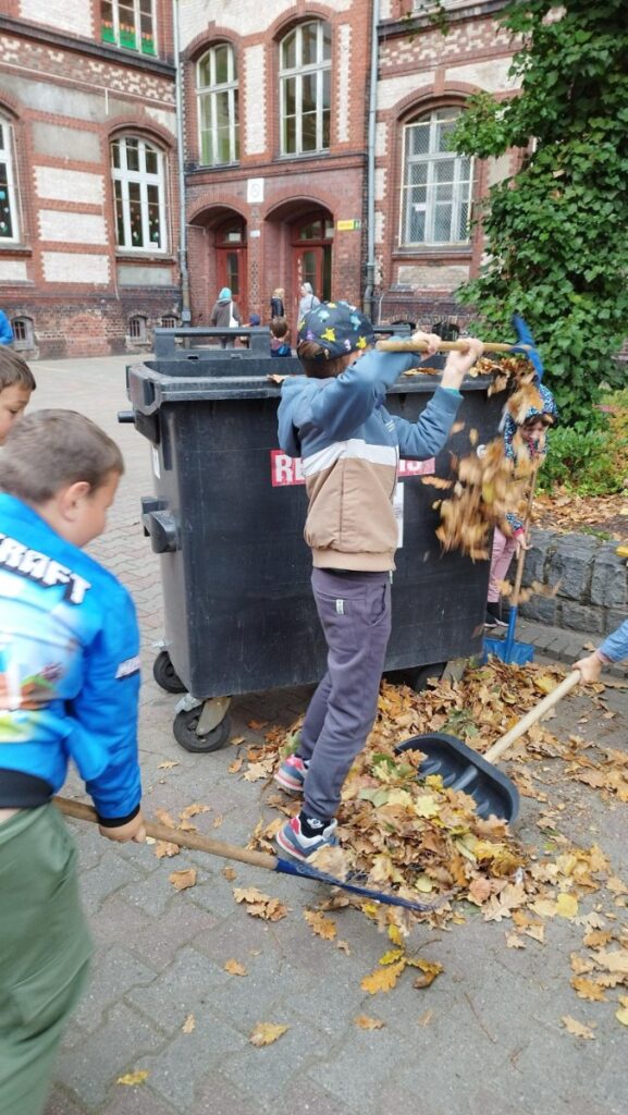 Liście lecą z drzew…