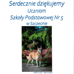 Podziękowanie