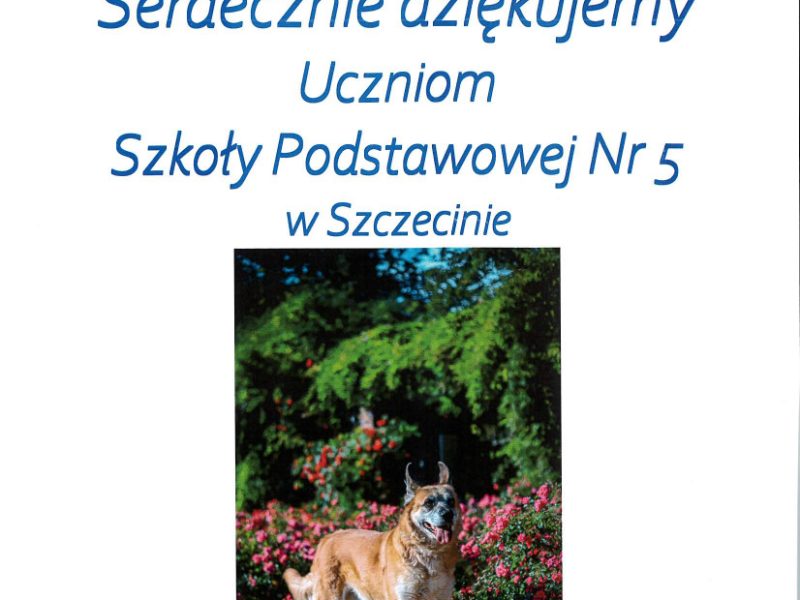 Podziękowanie