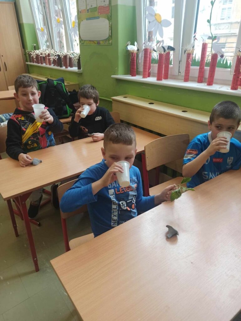 Warsztaty pod hasłem „Amanita i leśne dzieci”  w 1b
