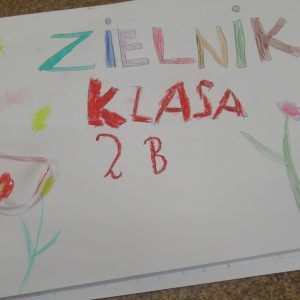 Zakładamy klasowy zielnik – 2b