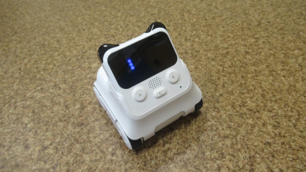 Poznajemy roboty Codey Rocky